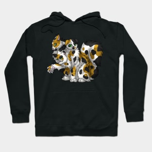 CerPURRus: Calico Tabby Hoodie